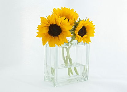 5 Reasons Fresh Flowers Make the Perfect Gift