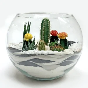 Fishbowl terrarium / round